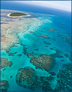 Australian reef
